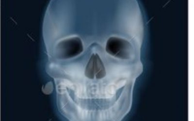 Les vestiges du corps humain