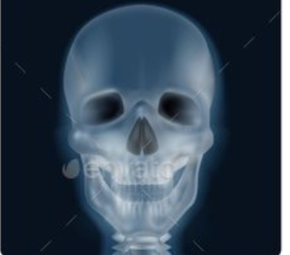 Les vestiges du corps humain